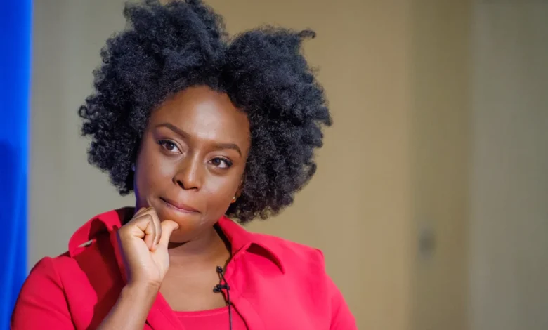 Chimamanda Adichie Alleges Cover-Up, Negligence Over Son’s Death