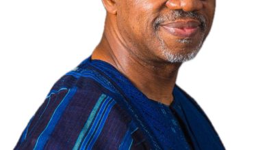 Operation Kosaye: Abiodun Hails IGP Disu, Ogun, Lagos Police For Crushing Kidnappers
