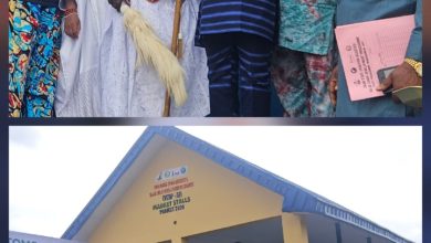 Residents Rejoice As Ogun Commissions VCDP Projects To Boost Agricultural Productivity In Ijebu North East