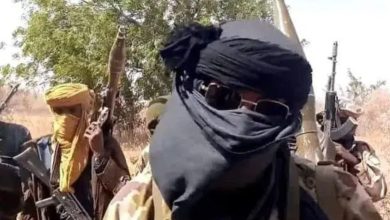 Many Feared Dead As Terrorists, Bandits Clash In Niger