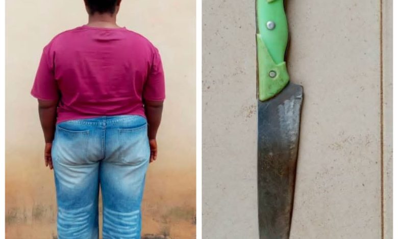 Police Arrest Woman For Attempted Murder of House Help