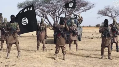 ISWAP Suffers Setback In Factional Clash As Military Targets Fleeing Fighters
