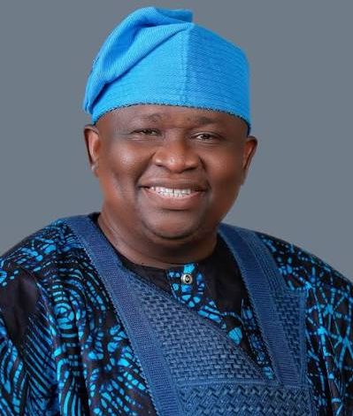 Ogun Waterside Blackout: Sen Adeola Set For On-The-Spot Assessment