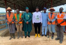 Adron Group, Niger Foods Breeding And Feedlot Center Explore Strategic Partnership To Transform Agriculture