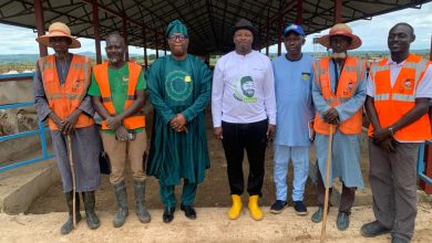 Adron Group, Niger Foods Breeding And Feedlot Center Explore Strategic Partnership To Transform Agriculture Adron Group, Niger Foods Breeding And Feedlot Center Explore Strategic Partnership To Transform Agriculture