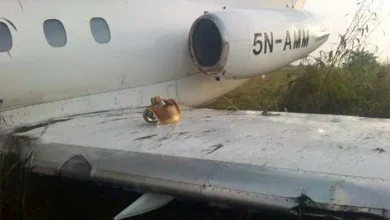 One Dead As Plane Hits Car