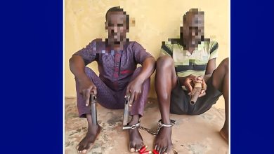 Police Arrest Two Armed Robbery Suspects, Recover Three Pistols, Amunitions In Ogun