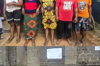 Six Suspects Arrested As Police Burst ‘Baby Factory’ In Ogun