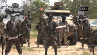 Many Terrorists Gunned Down As Boko Haram, ISWAP Clash In Sambisa Forest Many Terrorists Gunned Down As Boko Haram, ISWAP Clash In Sambisa Forest