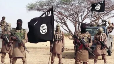 Many Terrorists Dead As Boko Haram, ISWAP Fighters Clash In Sambisa Forest