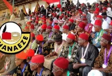 lgbo Day 2026: Ohanaeze Demands Accountability, LG Autonomy From S’East Govs