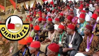 lgbo Day 2026: Ohanaeze Demands Accountability, LG Autonomy From S’East Govs lgbo Day 2026: Ohanaeze Demands Accountability, LG Autonomy From S’East Govs