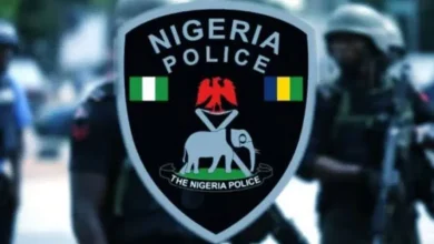 Police Dismiss Viral Video of Officers Allegedly Fleeing From Drone