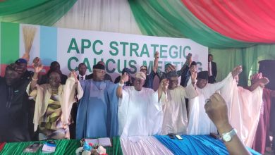 2027: Osoba, Lekan Mustapha, Sen Amosun Lead Ogun APC 156-Man Campaign Council