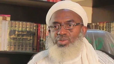 We Would Have Achieved More If Islamic Scholars Preached To Bandits – Gumi