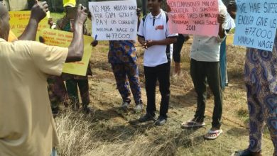 Gov Abiodun Urged To Intervene As GIPI Faces Imminent Collapse
